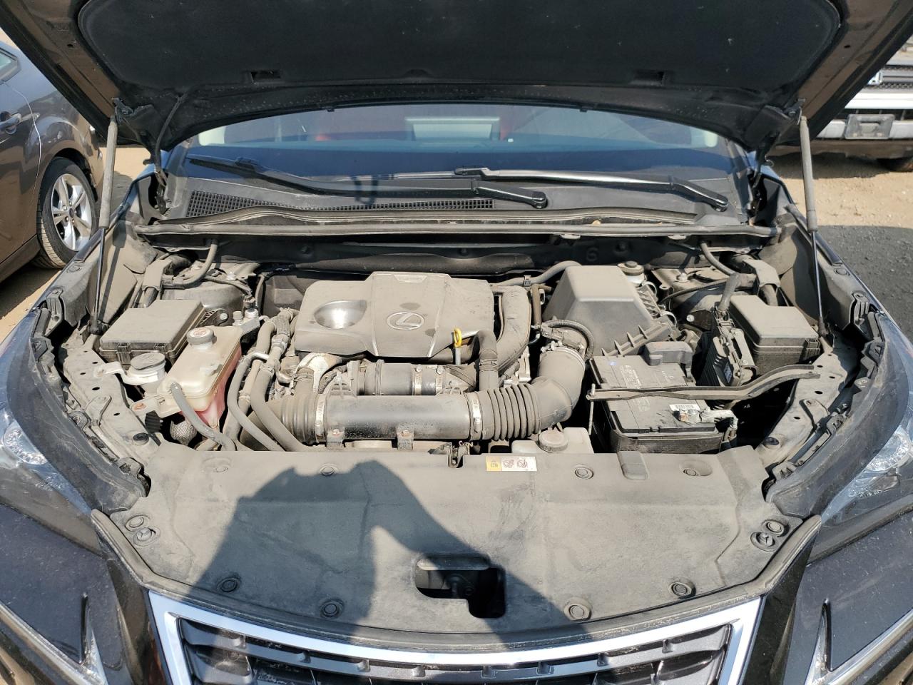 JTJBARBZ5K2179839 LEXUS NX 2019