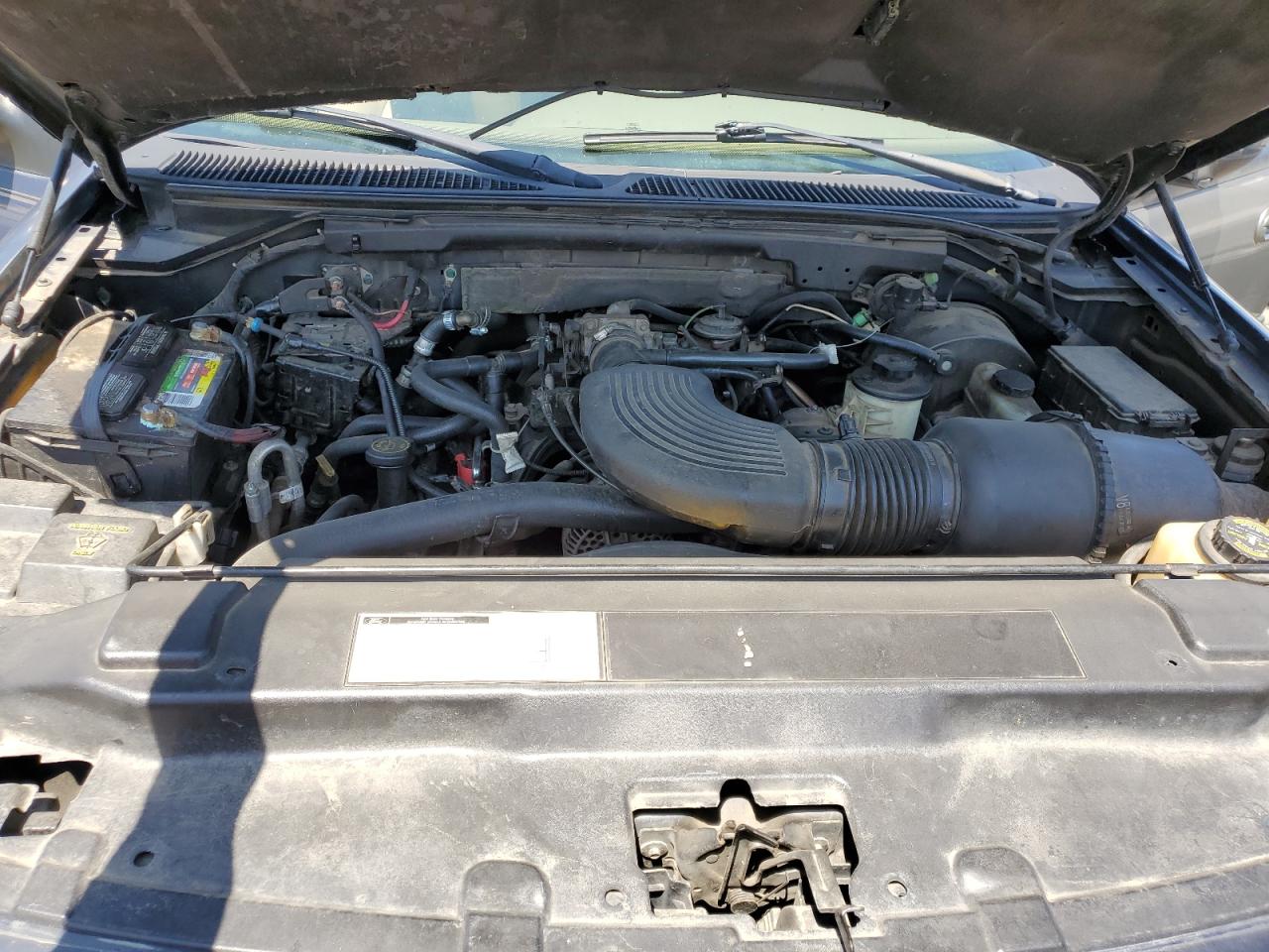 1999 Ford Expedition VIN: 1FMPU18L5XLB84346 Lot: 62482605