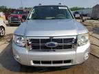 2009 Ford Escape Xlt de vânzare în Louisville, KY - Hail