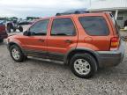 2006 Ford Escape Xlt for Sale in Prairie Grove, AR - Front End
