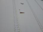 2005 Wabash Dry Van Trailer იყიდება Des Moines-ში, IA - Normal Wear