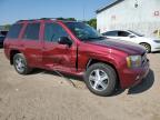 2009 Chevrolet Trailblazer Lt for Sale in Davison, MI - Front End