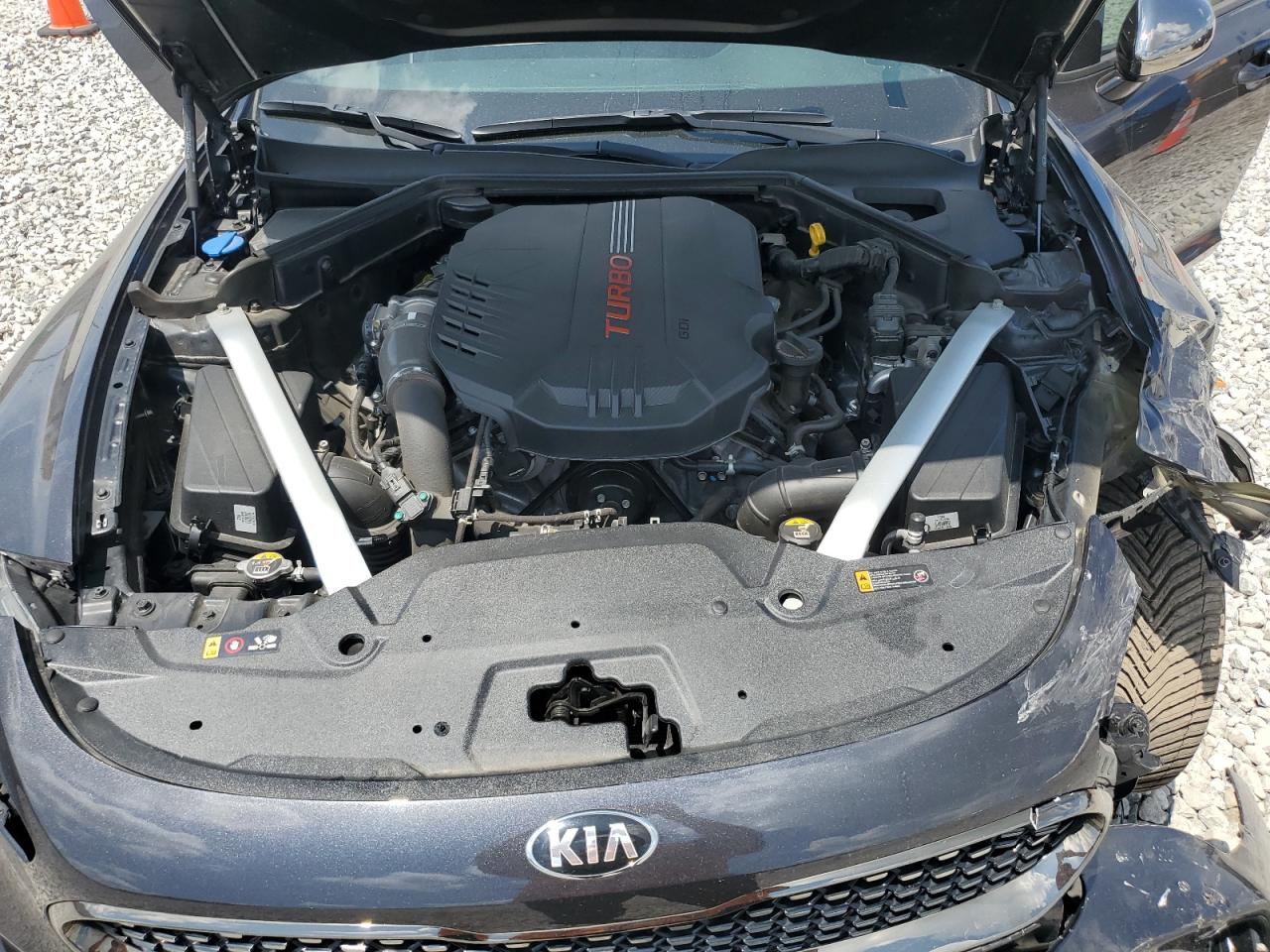 2019 Kia Stinger Gt VIN: KNAE35LC7K6046051 Lot: 61626065