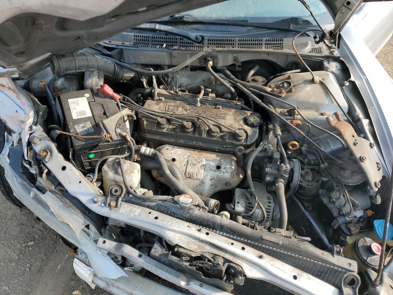 2001 Honda Accord Ex VIN: 1HGCG32521A022310 Lot: 59130485