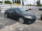 2010 Honda Accord Exl for Sale in Miami, FL - Minor Dent/Scratches