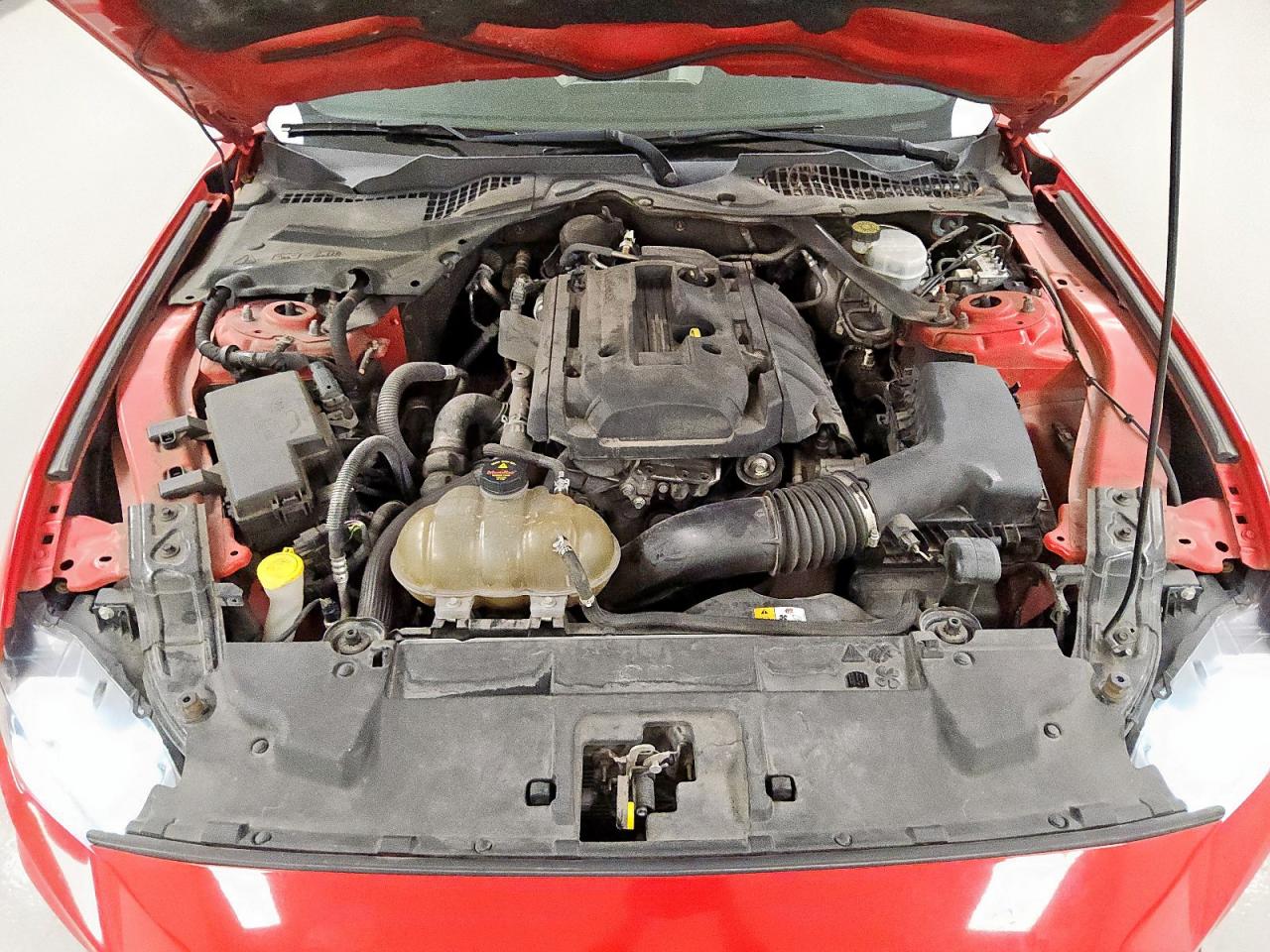 2018 Ford Mustang VIN: 1FATP8UH4J5138674 Lot: 60209075