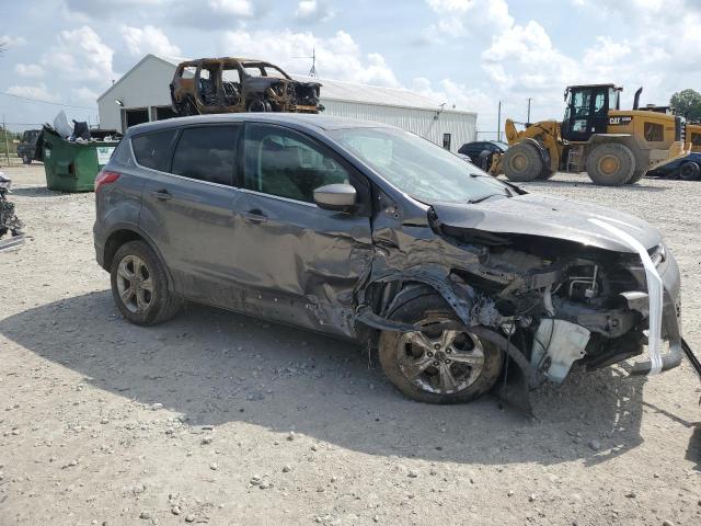  FORD ESCAPE 2014 Gray