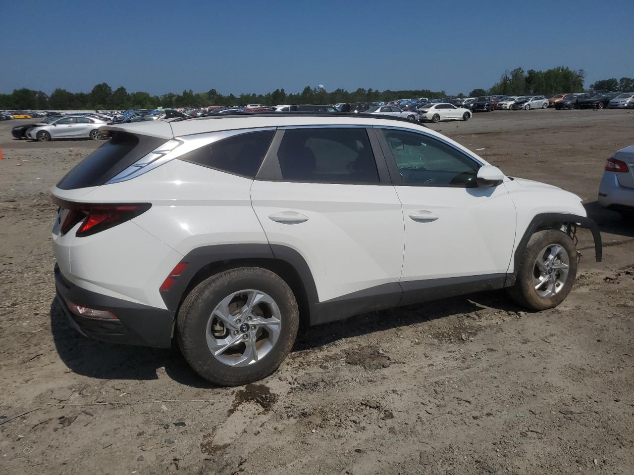 2024 Hyundai Tucson Sel VIN: 5NMJB3DE8RH402559 Lot: 62638315