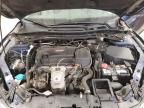 2017 Honda Accord Exl იყიდება Milwaukee-ში, WI - Hail