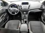 2013 Ford Escape S zu verkaufen in Seaford, DE - Minor Dent/Scratches