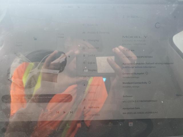 2023 TESLA MODEL Y   