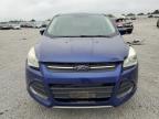 2014 Ford Escape Se for Sale in Earlington, KY - Top/Roof