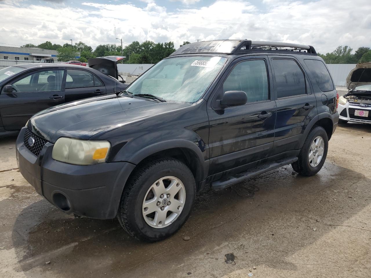 2005 Ford Escape Xlt продається в Louisville, KY - Hail