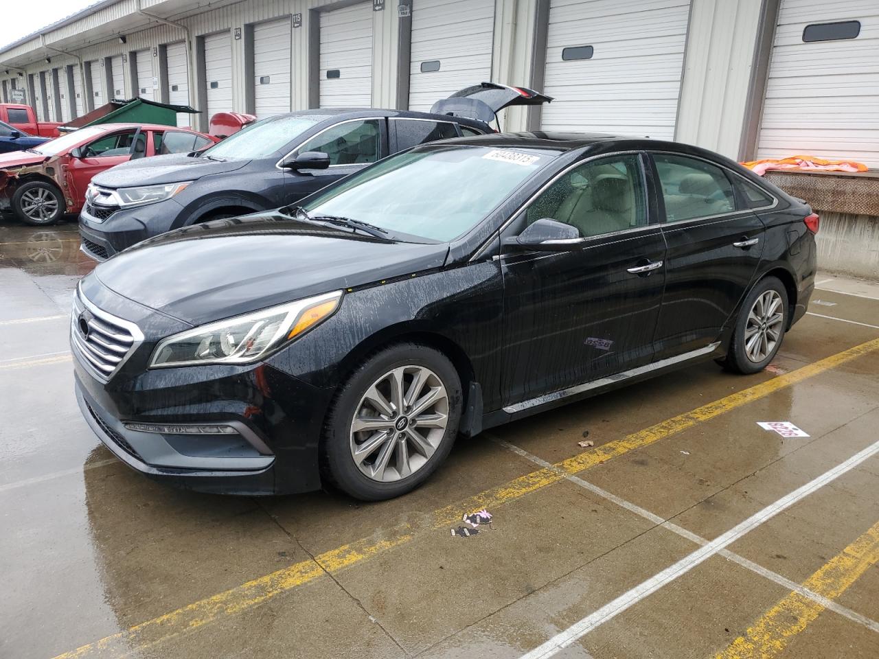 2017 Hyundai Sonata Sport იყიდება Louisville-ში, KY - Minor Dent/Scratches