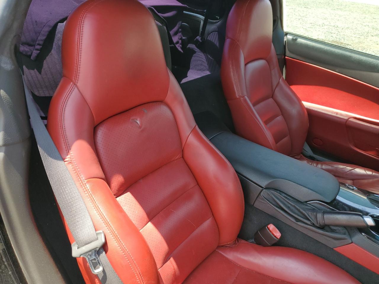 2009 Chevrolet Corvette VIN: 1G1YY26W695106867 Lot: 61787905