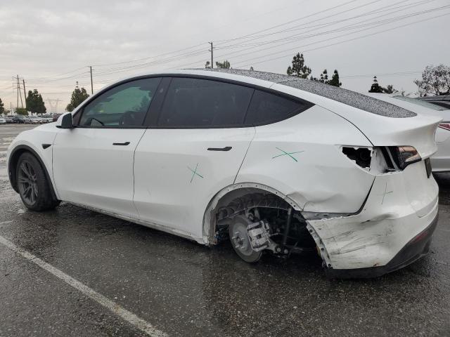  TESLA MODEL Y 2024 White