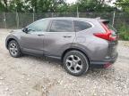 2019 Honda Cr-V Exl للبيع في Cicero، IN - Side