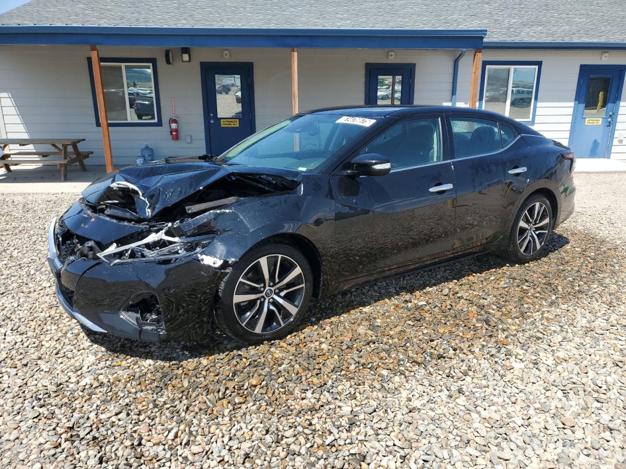 2023 Nissan Maxima Sv na sprzedaż w Helena, MT - Front End