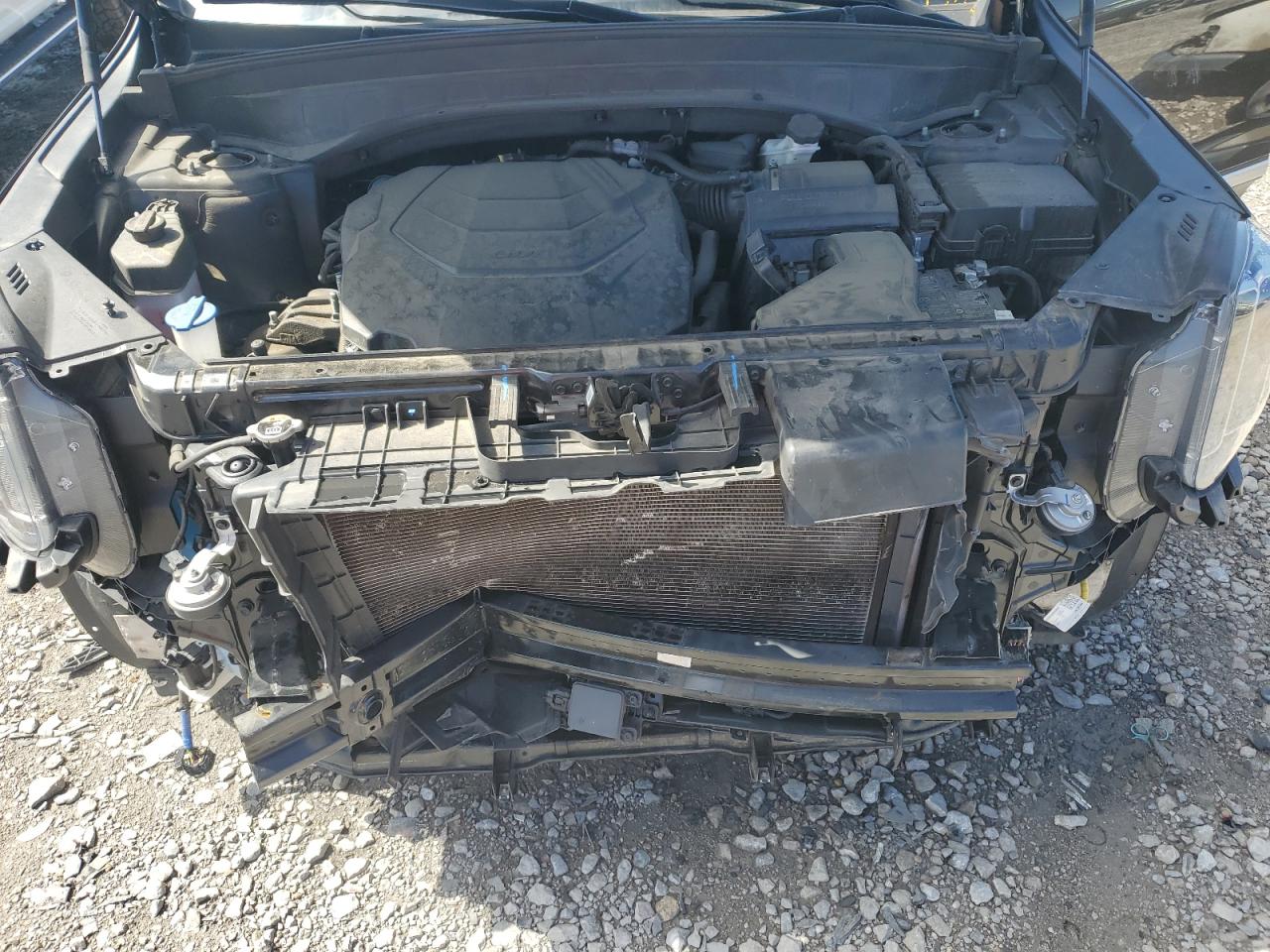 2023 Kia Telluride Sx VIN: 5XYP5DGC5PG387088 Lot: 60807605