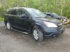2008 HONDA CR-V EXL   for sale at Copart ON - COOKSTOWN
