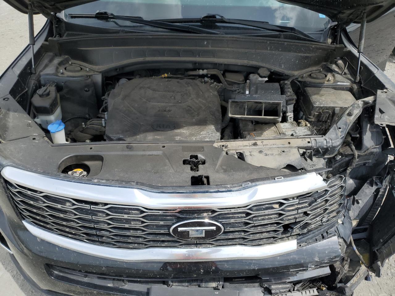 2020 Kia Telluride Ex VIN: 5XYP3DHC5LG054503 Lot: 61080555