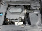 2006 Acura 3.2Tl  продається в Riverview, FL - Rear End