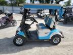 2019 Golf Cart Cart للبيع في Ocala، FL - Burn