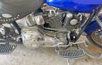 2001 Harley-Davidson Flstci  for Sale in Grand Prairie, TX - Normal Wear