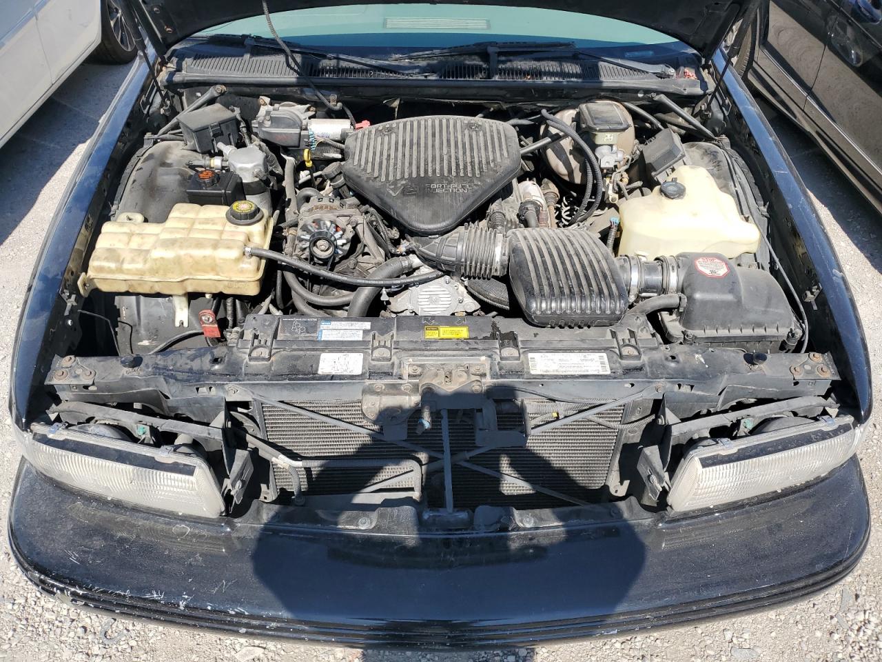 1g1bl52p7tr106459 1G1BL52P7TR106459 1996 Chevrolet Caprice / Impala Classic Ss