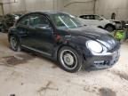 2013 Volkswagen Beetle    продається в Ham Lake, MN - Front End