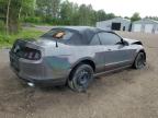 2013 FORD MUSTANG    for sale at Copart ON - COOKSTOWN