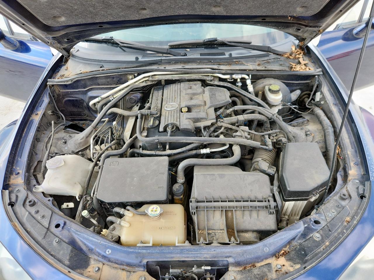 2007 Mazda Mx-5 Miata VIN: JM1NC25F770138120 Lot: 60777425