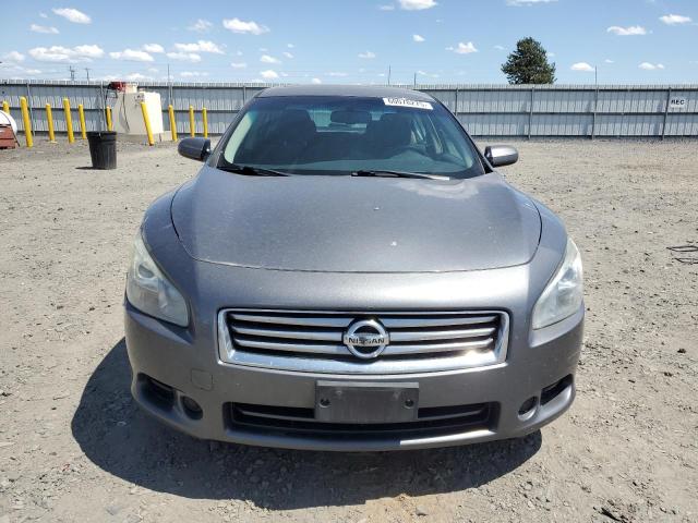 Sedans NISSAN MAXIMA 2014 Gray