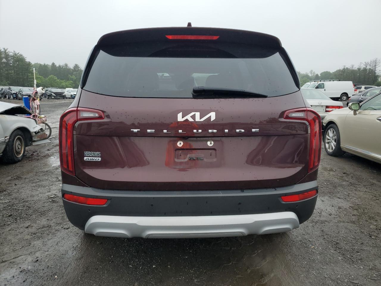 2022 Kia Telluride Lx VIN: 5XYP2DHC8NG198987 Lot: 61134265