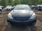 2002 Lexus Es 300 for Sale in Cookstown, ON - Minor Dent/Scratches