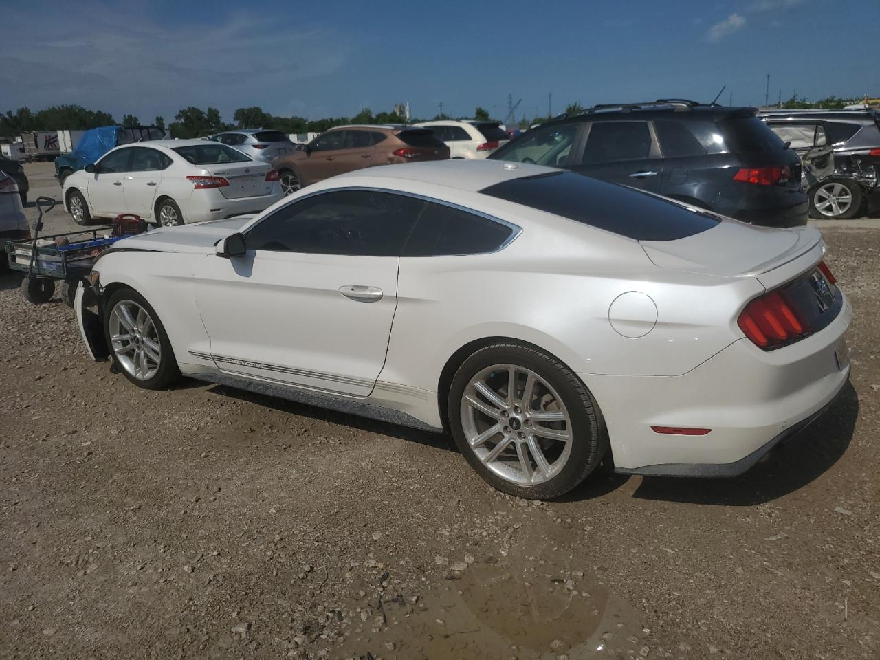 2017 Ford Mustang VIN: 1FA6P8TH2H5244310 Lot: 62850785