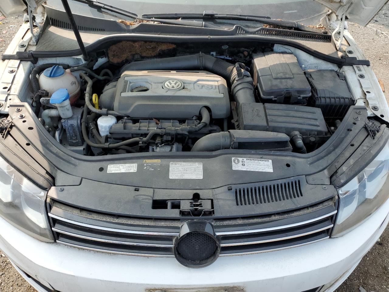 2014 Volkswagen Eos Lux VIN: WVWFW8AH5EV001909 Lot: 59372825