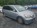 Marlboro, NY에서 판매 중인 2008 Honda Odyssey Exl - Normal Wear