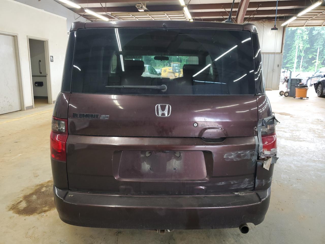 2007 Honda Element Sc VIN: 5J6YH18917L005005 Lot: 62956845