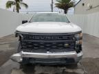 2024 Chevrolet Silverado C1500 للبيع في Riverview، FL - Front End