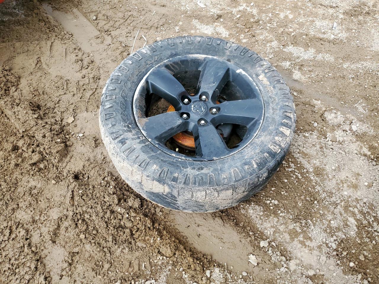 1999 Dodge Ram 1500 VIN: 1B7HF16ZXXS269330 Lot: 62387225