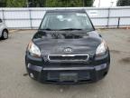 2010 Kia Soul +   на продаже в Arlington, WA - Vandalism