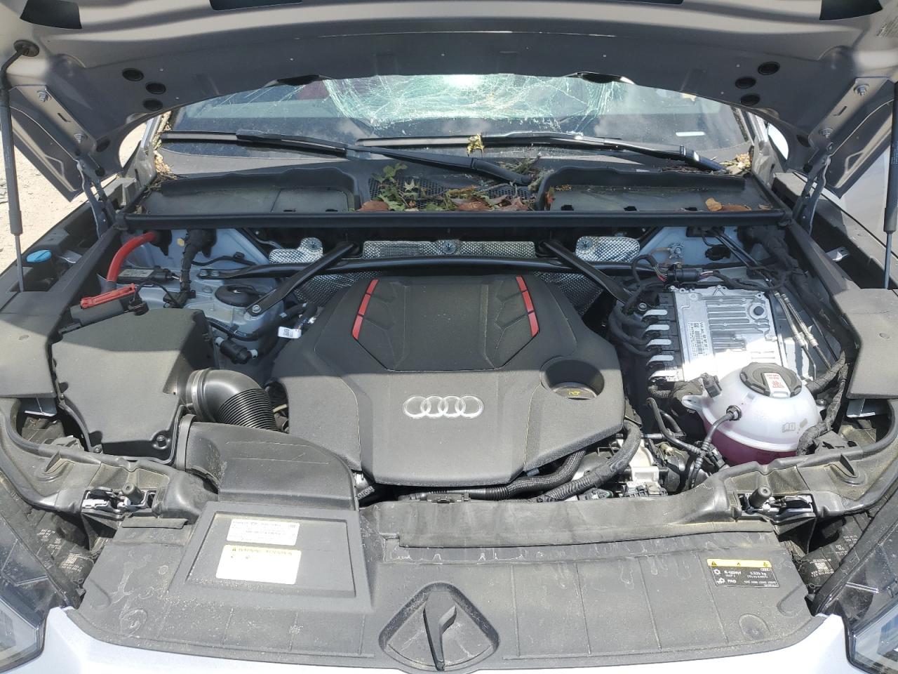 2024 Audi Sq5 Premium Plus VIN: WA1B4AFY1R2115315 Lot: 62541275