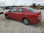2009 Toyota Corolla Base zu verkaufen in Opa Locka, FL - Front End