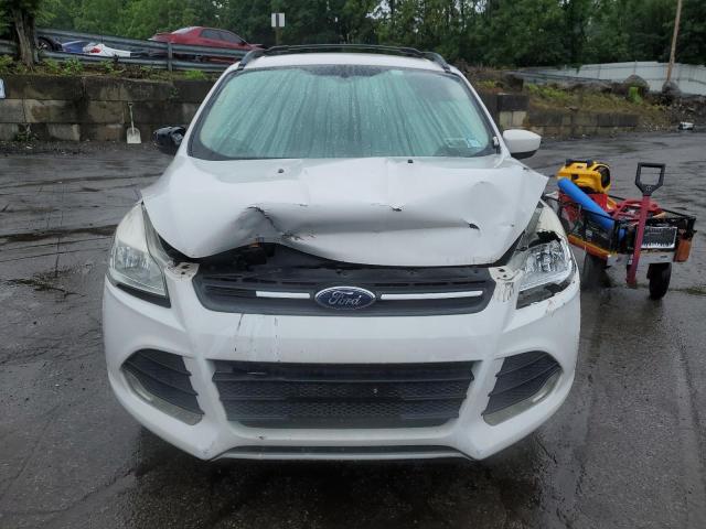  FORD ESCAPE 2014 Biały