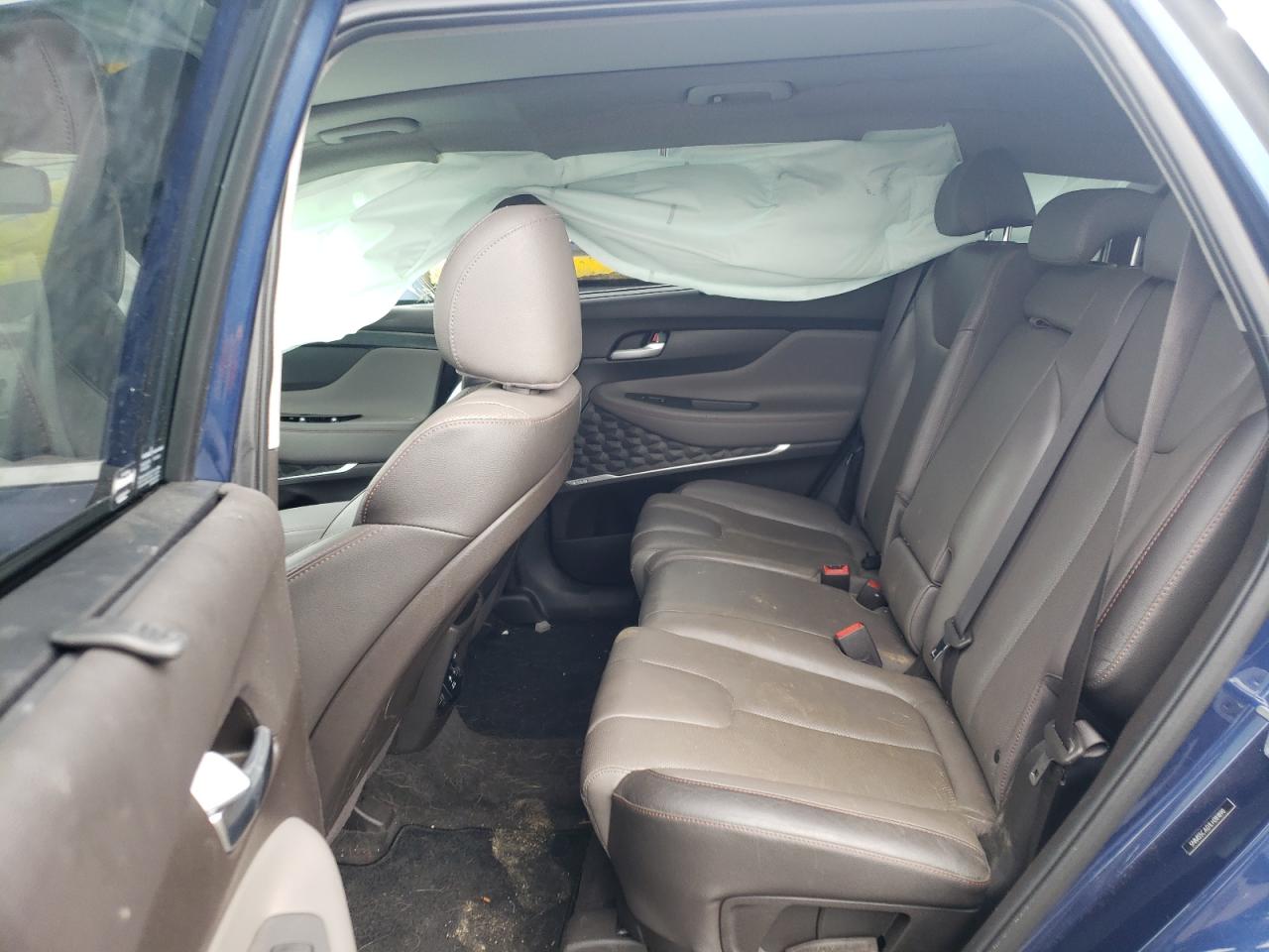 2020 Hyundai Santa Fe Limited VIN: 5NMS5CAD1LH281890 Lot: 62182645