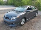 2009 TOYOTA COROLLA BASE   à vendre chez Copart ON - COOKSTOWN