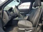 2011 Ford Escape Xlt იყიდება North Las Vegas-ში, NV - Front End
