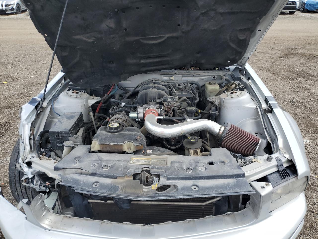 2006 Ford Mustang VIN: 1ZVFT80N665122432 Lot: 61149635