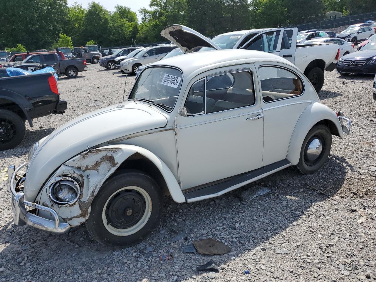 1965 Volkswagen Beetle zu verkaufen in Madisonville, TN - Front End